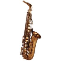 Ishimori WoodStone - "New Vintage" VL Alto Saxophone