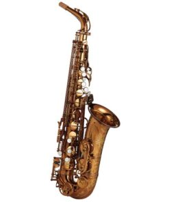 Ishimori WoodStone - "New Vintage" VL Alto Saxophone