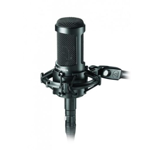 Audio-Technica - AT2050 Multi-Pattern Condenser Microphone