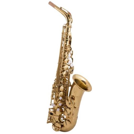 Trevor James - SR EVO Alto Saxophone