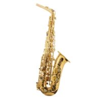 Trevor James - "The Horn" Alto Saxophone