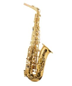 Trevor James - "The Horn" Alto Saxophone