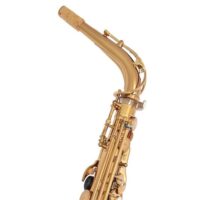 Yamaha X Ishimori WoodStone - YAS-82ZWS - Custom Alto Saxophone