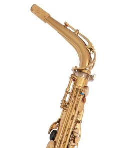 Yamaha X Ishimori WoodStone - YAS-82ZWS - Custom Alto Saxophone