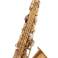 Yamaha X Ishimori WoodStone - YAS-82ZWS - Custom Alto Saxophone