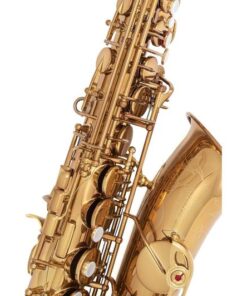 Yamaha X Ishimori WoodStone - YAS-82ZWS - Custom Alto Saxophone