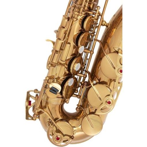 Yamaha X Ishimori WoodStone - YAS-82ZWS - Custom Alto Saxophone