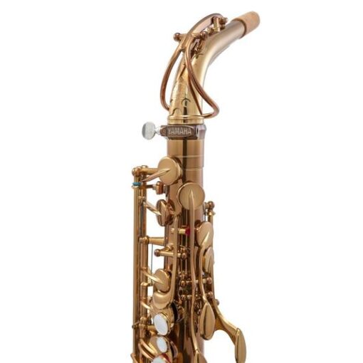 Yamaha X Ishimori WoodStone - YAS-82ZWS - Custom Alto Saxophone